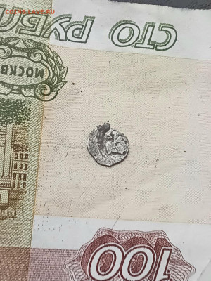 Полушка Ивана Грозного - 20251126_151417