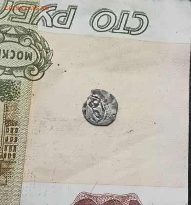 Полушка Ивана Грозного - 20251126_151358