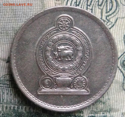 Шри-Ланка 25 центов 1982 года до 01.12.2025 - IMG_20251126_213716