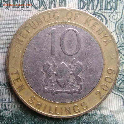 Кения 10 шиллингов 2009 года до 01.12.2025 - IMG_20251126_214819