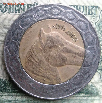 Алжир 100 динаров 2010 года до 01.12.2025 - IMG_20251126_215114