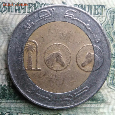 Алжир 100 динаров 2010 года до 01.12.2025 - IMG_20251126_215131