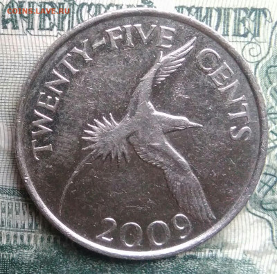 Бермуды 25 центов 2009 года до 01.12.2025 - IMG_20251126_215218