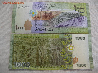 Сирия 1000 фунтов 2013 - UNC - фиксу - P1420377.JPG