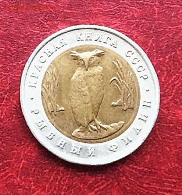 5 рублей Красная книга Филин  1991г    до 30.11.25г - IMG_7888.JPG