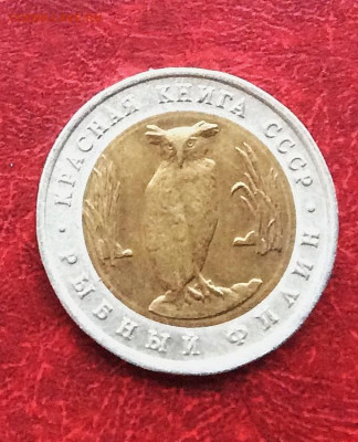 5 рублей Красная книга Филин  1991г    до 30.11.25г - IMG_7887.JPG