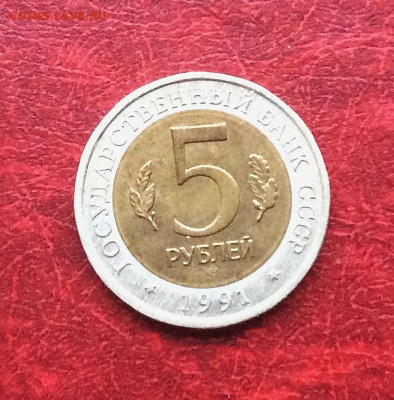 5 рублей Красная книга Козел  1991г    до 30.11.25г - IMG_7896.JPG