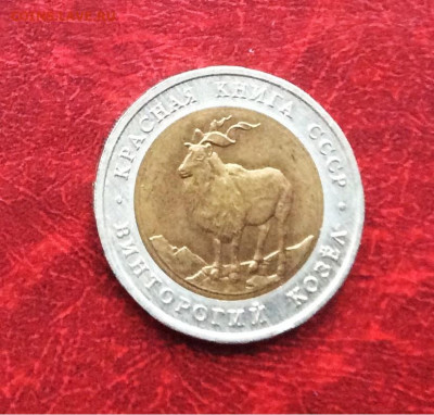 5 рублей Красная книга Козел  1991г    до 30.11.25г - IMG_7893.JPG