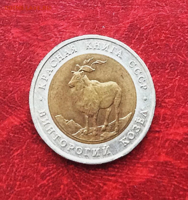 5 рублей Красная книга Козел  1991г    до 30.11.25г - IMG_7891.JPG