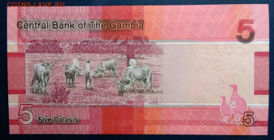 Гамбия 5 даласи 2023 года до 01.12.2025 - IMG_20251127_224547
