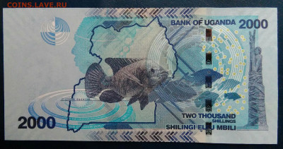 Уганда 2000 шиллингов 2021 года до 01.12.2025 - IMG_20251127_235121