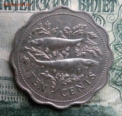 Багамы 10 центов 1985 года до 01.12.2025 - IMG_20251127_211942
