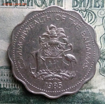 Багамы 10 центов 1985 года до 01.12.2025 - IMG_20251127_211957