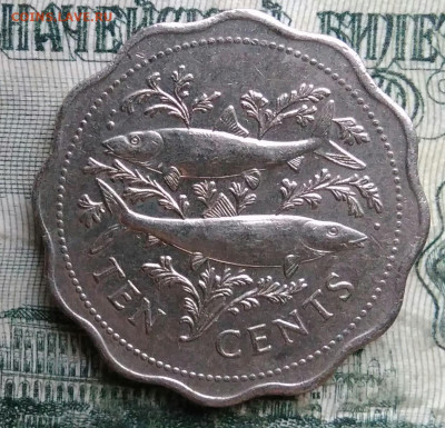 Багамы 10 центов 1982 года до 01.12.2025 - IMG_20251127_204152