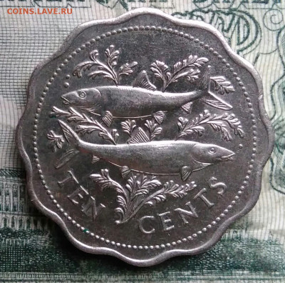 Багамы 10 центов 1980 года до 01.12.2025 - IMG_20251127_203501