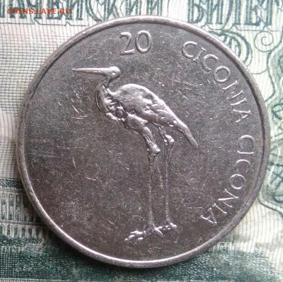 Словения 20 толаров 2004 года до 01.12.2025 - IMG_20251126_215628