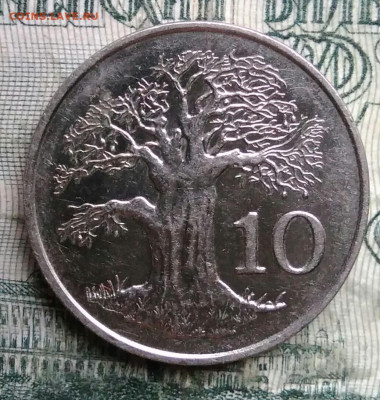 Зимбабве 10 центов 1980 года до 01.12.2025 - IMG_20251127_221116