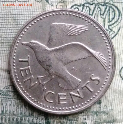 Барбадос 10 центов 1973 года до 01.12.2025 - IMG_20251127_211657