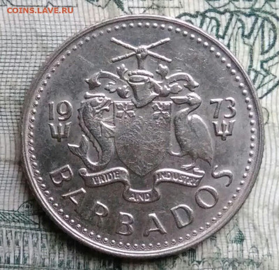 Барбадос 10 центов 1973 года до 01.12.2025 - IMG_20251127_211712