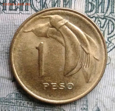 Уругвай 1 песо 1969 года до 01.12.2025 - IMG_20251127_204444