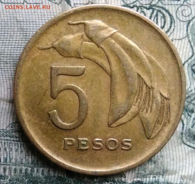 Уругвай 5 песо 1968 года до 01.12.2025 - IMG_20251127_203547