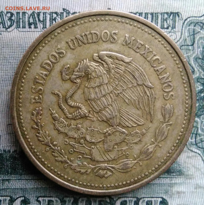 Мексика 1000 песо 1988 года до 01.12.2025 - IMG_20251127_201000