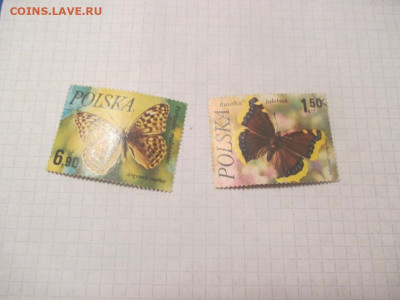 Марки Польша 2 шт. Бабочки . - IMG_0448.JPG