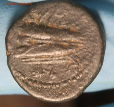 То ли Селевкия, то ли Финикия. - P1