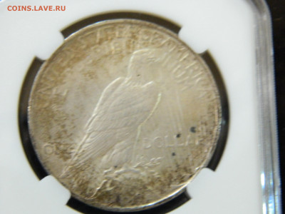 1 доллар США  Мирный 1922 до 30.11.2025 22:00 - DSCN6949.JPG