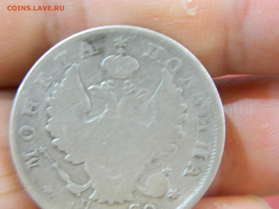 полтина  спб  пс 1819 до 30.11.2025 22:00 - DSCN7083.JPG