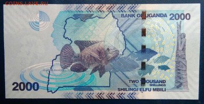 Уганда 2000 шиллингов 2024 года до 01.12.2025 - IMG_20251129_014930