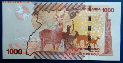 Уганда 1000 шиллингов 2024 года до 01.12.2025 - IMG_20251129_014857