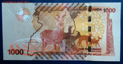 Уганда 1000 шиллингов 2021 года до 01.12.2025 - IMG_20251129_014823