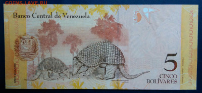 Венесуэла 5 боливар 2007 года до 01.12.2025 - IMG_20251129_014716