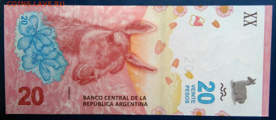 Аргентина 20 песо 2017 года до 01.12.2025 - IMG_20251129_014451