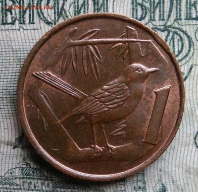 Каймановы острова 1 цент 1972 года до 01.12.2025 - IMG_20251129_012019