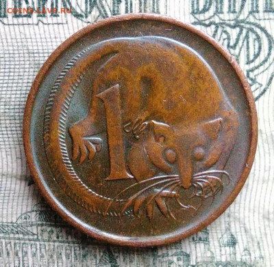 Австралия 1 цент 1971 года до 01.12.2025 - IMG_20251129_011831