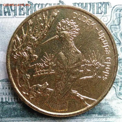 Польша 2 злотых 2000 года Удод до 01.12.2025 - IMG_20251129_011226