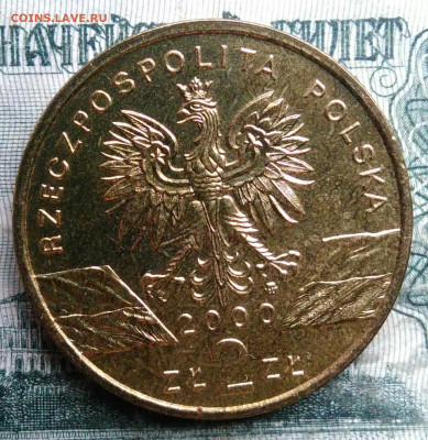 Польша 2 злотых 2000 года Удод до 01.12.2025 - IMG_20251129_011242