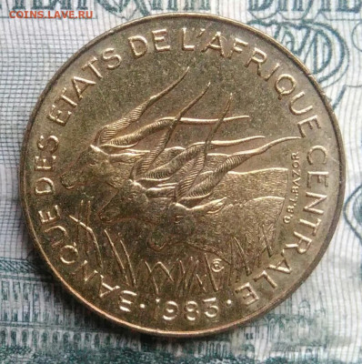 Центральная Африка 5 франков 1983 года до 01.12.2025 - IMG_20251126_212148