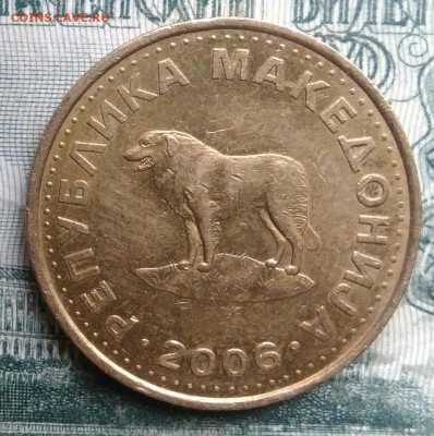 Македония 1 денар 2006 года до 01.12.2025 - IMG_20251126_215414