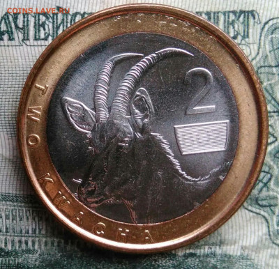 Замбия 2 квача 2024 года до 01.12.2025 - IMG_20251129_010815