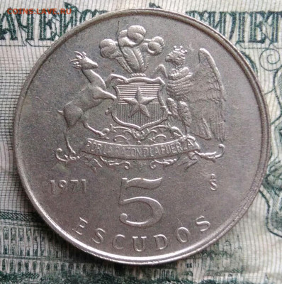 Чили 5 эскудо 1971 года до 01.12.2025 - IMG_20251129_010533