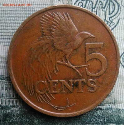 Тринидад и Тобаго 5 центов 1995 года до 01.12.2025 - IMG_20251126_231523