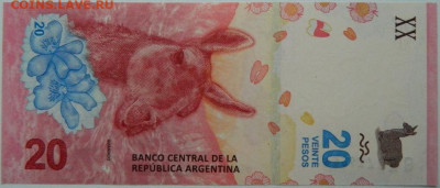 Аргентина 20 песо 2019 г. С рубля! до 04.12.25 - DSCN9259.JPG