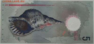 Мальдивские острова 5 руфий 2017 г. (Полимер) С рубля! до 04 - DSCN9258.JPG