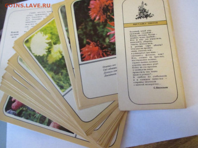 Живая Поэзия Юга.Набор. 1982 год. - IMG_1610.JPG