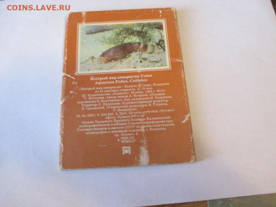 Пёстрый Мир Аквариума.Набор.1984 год. - IMG_1614.JPG