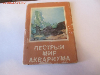 Пёстрый Мир Аквариума.Набор.1984 год. - IMG_1612.JPG