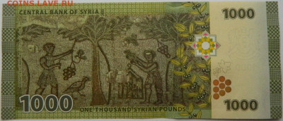 Сирия 1000 фунтов 2013 г. С рубля!  до 04.12.25 - DSCN9272.JPG